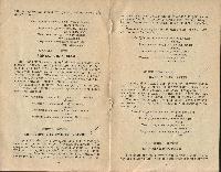 Mushukni yalash haqida onlayn yigit