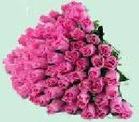 Katta eshakli qizni sikdi